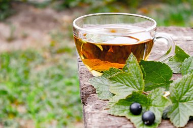 Siyah frenk üzümü ve yeşil çim arka plan karşı ahşap bir masa üzerinde kuş üzümü yaprakları ile çay bir fincan.