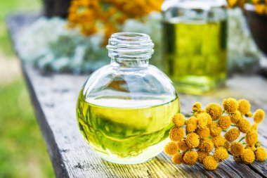 Sarı tansy çiçekleri ile ahşap arka plan üzerinde tansi uçucu yağ veya tentür özü Şişe. Bitkisel ilaç kavramı.