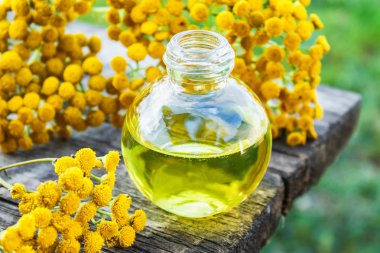 Eski bir ahşap arka plan üzerinde sarı tansy yakın bir cam şişe tabakesi uçucu yağ. Bitkisel ilaç kavramı.