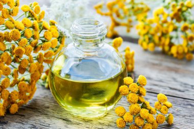 Sarı tansy çiçekler yakınında ahşap bir arka plan üzerinde bir cam şişe tabakesi uçucu yağ. Tıbbi tansy ile tentür özü. Bitkisel ilaç kavramı.