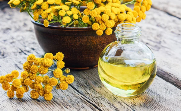 Şifalı otlar tansy ve ahşap bir arka plan üzerinde bir cam şişe de uçucu yağ veya tentür bir kavanoz. Bitkisel ilaç kavramı.