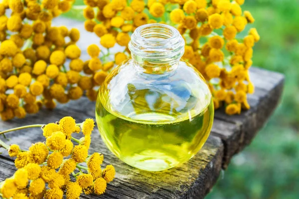 Eski bir ahşap arka plan üzerinde sarı tansy yakın bir cam şişe tabakesi uçucu yağ. Bitkisel ilaç kavramı.