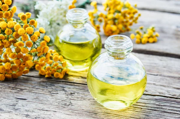 Ahşap bir arka plan üzerinde bir cam şişe sarı tansy çim ve tansy yağı. Bitkisel ilaç kavramı.