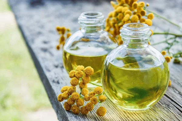 Sarı tansy çiçekler yakınında ahşap bir arka plan üzerinde bir cam şişe tabakesi uçucu yağ. Tıbbi tansy ile tentür özü. Bitkisel ilaç kavramı.