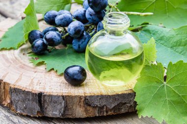 Eski ahşap tahtalar üzerinde mavi üzüm ve yeşil yaprakları yakınında bir cam şişe üzüm çekirdeği yağı. Spa, eko ürünler konsepti.