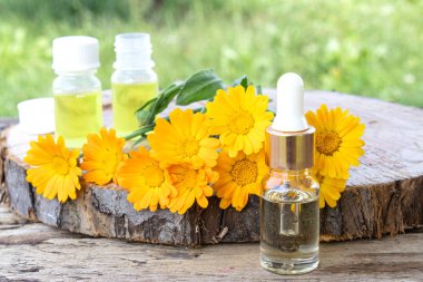 Doğada ahşap bir arka planda Calendula çiçekler ile aromaterapi esansiyel yağı. Calendula tentürü özü.