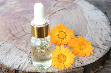 Ahşap bir arka planda Calendula yağı bir şişe. Calendula tentürü özü.