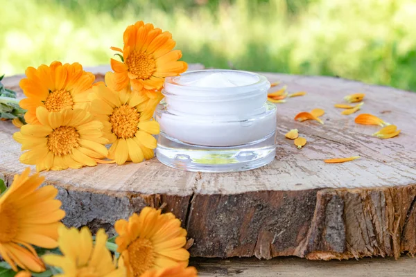 Cream for body care with calendula. Fresh orange calendula flowers on a wooden background in nature. Cosmetic cream for cleansing the skin with calendula flowers.