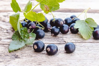 Siyah frenk üzümü ahşap arka planda yeşil yaprakları yanında yatıyor. Sulu doğal meyveler frenk üzümü.