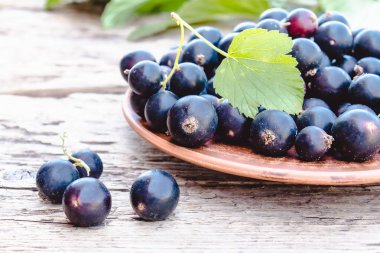 Yeşil yaprakları yakın ahşap arka planda bir kase taze olgun frenk üzümü çilek. Sulu meyve kuş üzümü. Siyah frenk üzümü