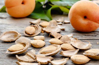 Apricots near pits and apricot pits on the background of old boards. Apricot pits for the manufacture of tablets and drugs. clipart