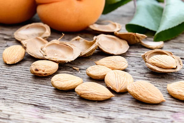 Medicinal apricot pits and fresh organic apricots on the background of old boards. Apricot pits for the manufacture of tablets and drugs. — Stock Photo, Image