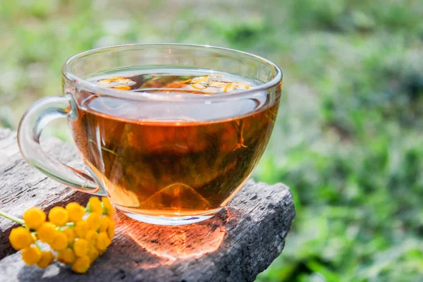 Herbal tea with tansy in a glass mug and yellow tansy flowers on the surface of a wooden table on a background of nature. Tansy Herbal tea. Healing herbs. — Stock Photo, Image