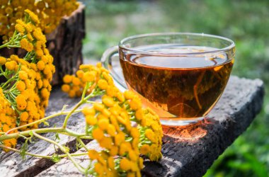 Doğanın bir arka plan üzerinde ahşap bir masanın yüzeyinde bir cam kupa ve sarı tansy çiçekler tabak ile bitkisel çay. Tansy Bitkisel çay. Şifa otlar.