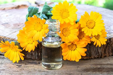 Doğada ahşap bir arka planda Calendula çiçekler ile aromaterapi esansiyel yağı. Calendula tentürü özü.