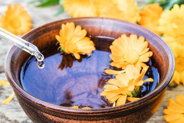 Bir ahşap arka planda Calendula sarı çiçekler yakın Calendula Esansiyel Yağı. Bir kasede Calendula tentürü özü.