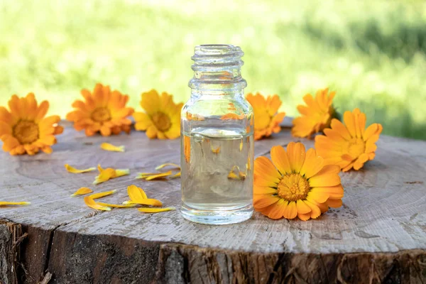 Doğada ahşap bir arka planda Calendula çiçekler ile aromaterapi esansiyel yağı. Calendula tentürü özü.