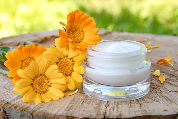 Cream for body care with calendula. Fresh orange calendula flowers on a wooden background in nature. Cosmetic cream for cleansing the skin with calendula flowers.