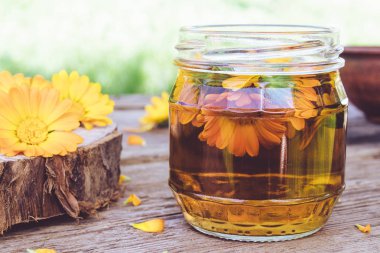 Calendula officinalis taze bir bitki ile Calendula tentür şeffaf kavanoz. Calendula tentürü özü.