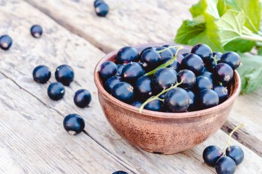 Yeşil yaprakları yakın ahşap arka planda bir kase taze olgun frenk üzümü çilek. Sulu meyve kuş üzümü. Siyah frenk üzümü