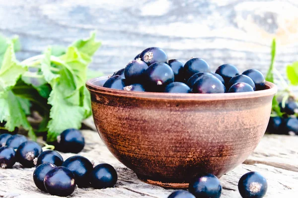 Baies de groseilles fraîches mûres dans un bol sur fond de bois près des feuilles vertes. Cassis de fruits juteux. Cassis — Photo