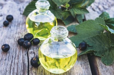 Eski kurulların arka planda siyah frenk üzümü özü tentür çare infüzyon bir şişe. Siyah frenk üzümü yağı.