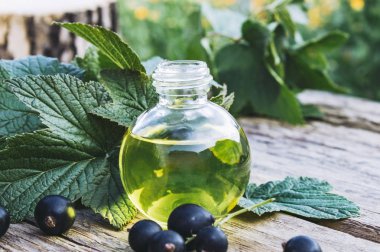 Eski panoların arka planında bir şişe siyah frenk üzümü yağı. Siyah frenk üzümü soğuk çare özü.