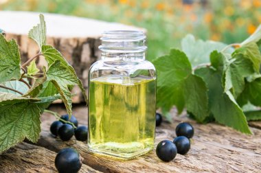Fresh berries of black currant near glass bottles with extract. Medicinal tincture with black currant. clipart