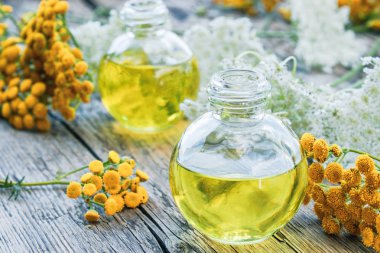 Tansy uçucu yağ cam bir şişe yakınında ahşap bir arka plan üzerinde tansy ve yarrow Sarı çim. Bitkisel ilaç kavramı.
