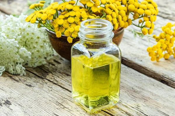Ahşap arka plan üzerinde tansy ve yarrow sarı taze çiçekler yakın esansiyel yağ veya tentür Cam şişe. Bitkisel ilaç kavramı.
