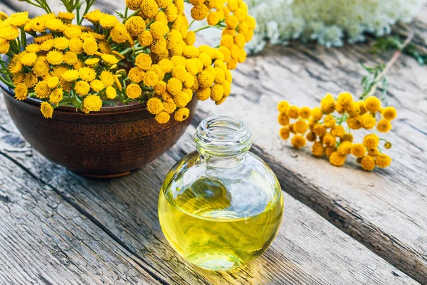 Şifalı otlar tansy ve ahşap bir arka plan üzerinde bir cam şişe de uçucu yağ veya tentür bir kavanoz. Bitkisel ilaç kavramı.