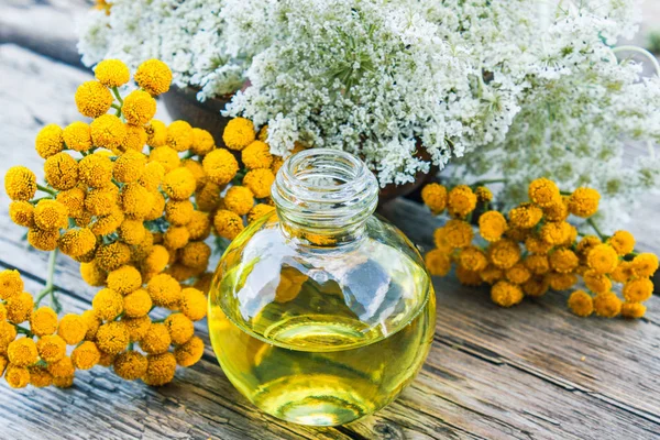 Tansy and yarrow essential oil in a glass bottle near yellow tansy and white yarrow on an old wooden background. Herbal medicine concept.