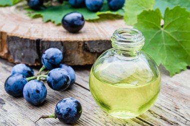 Eski ahşap tahtalar üzerinde mavi üzüm ve yeşil yaprakları yakınında bir cam şişe üzüm çekirdeği yağı. Spa, eko ürünler konsepti.