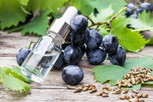 Bottle with grape seed essential oil on old wooden boards near grones of blue grapes and green leaves. Spa, eco products concept.