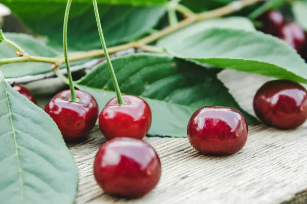 Ahşap masada yeşil yaprakları ile kırmızı kiraz ve dalları.