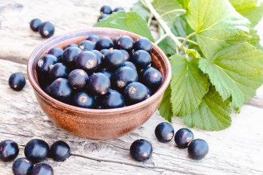 Yeşil yaprakları yakın ahşap arka planda bir kase taze olgun frenk üzümü çilek. Sulu meyve kuş üzümü. Siyah frenk üzümü