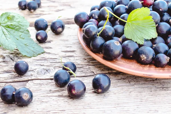 Baies de groseilles fraîches mûres dans un bol sur fond de bois près des feuilles vertes. Cassis de fruits juteux. Cassis — Photo