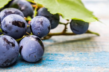 Mavi eski tahtalarda mavi üzüm ve yeşil yapraklar. Tahta bir masada bir salkı üzüm.