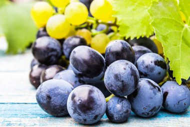 Mavi ve sarı üzüm damlaları su ve yeşil yaprakları mavi eski bir tahta üzerinde. Tahta bir masada bir salkı üzüm.
