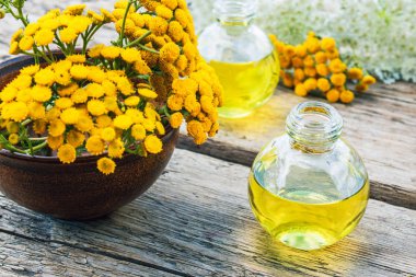 Şifalı otlar tansy ve ahşap bir arka plan üzerinde bir cam şişe de uçucu yağ veya tentür bir kavanoz. Bitkisel ilaç kavramı.