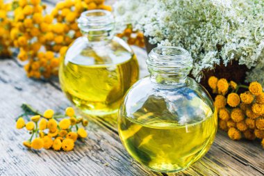 Tansy uçucu yağ cam bir şişe yakınında ahşap bir arka plan üzerinde tansy ve yarrow Sarı çim. Bitkisel ilaç kavramı.