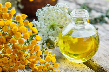 Sarı tansy ve yarrow çiçekleri ile ahşap arka plan üzerinde tansy ve yarrow uçucu yağ veya tentür özü Şişe. Bitkisel ilaç kavramı.