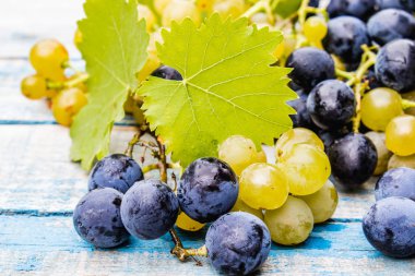 Mavi ve sarı üzüm damlaları su ve yeşil yaprakları mavi eski bir tahta üzerinde. Tahta bir masada bir salkı üzüm.