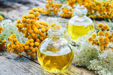 Tansy uçucu yağ cam bir şişe yakınında ahşap bir arka plan üzerinde tansy ve yarrow Sarı çim. Bitkisel ilaç kavramı.