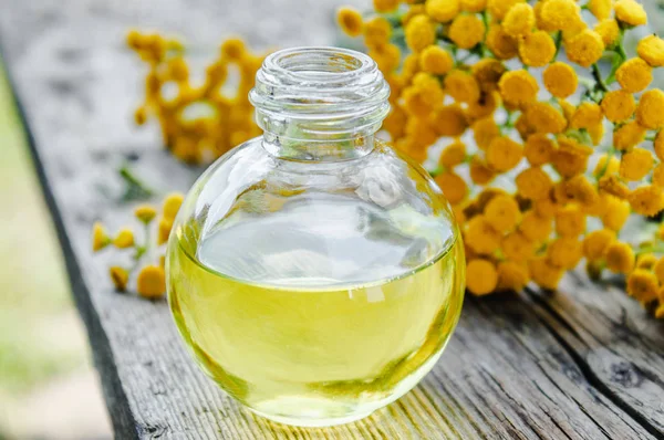 Ahşap bir arka plan üzerinde bir cam şişe sarı tansy çim ve tansy yağı. Bitkisel ilaç kavramı.