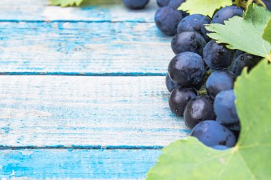 Mavi eski tahtalarda mavi üzüm ve yeşil yapraklar. Tahta bir masada bir salkı üzüm.