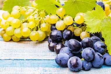 Mavi ve sarı üzüm damlaları su ve yeşil yaprakları mavi eski bir tahta üzerinde. Tahta bir masada bir salkı üzüm.