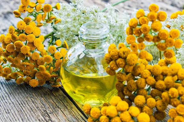 Sarı tansy ve yarrow çiçekleri yakınında ahşap bir arka plan üzerinde bir cam şişe tabakesi uçucu yağ. Tıbbi tansy ile tentür özü. Bitkisel ilaç kavramı.