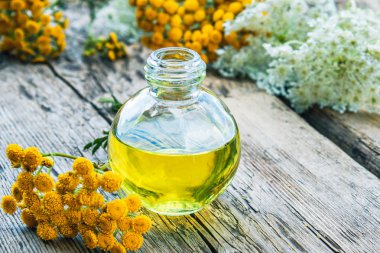 Sarı tansy ve yarrow çiçekleri yakınında ahşap bir arka plan üzerinde bir cam şişe tabakesi uçucu yağ. Tıbbi tansy ile tentür özü. Bitkisel ilaç kavramı.