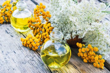 Eski bir ahşap arka plan üzerinde sarı tansy ve beyaz yarrow yakın bir cam şişe tabak ve yarrow uçucu yağ. Bitkisel ilaç kavramı.